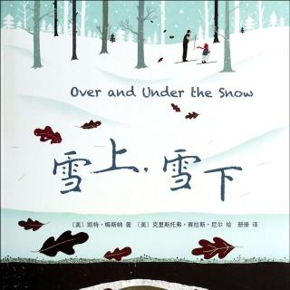 绘本故事——《雪上，雪下》