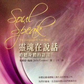 灵魂在说话-19-脉轮（1）