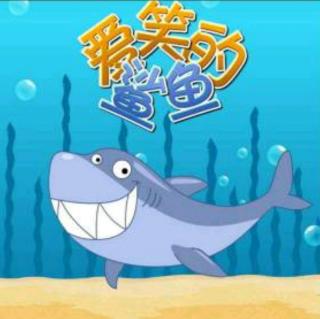 童话故事——《爱笑的鲨鱼》(中一班小金老师)（来自FM150754281)
