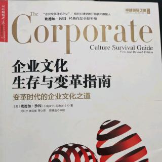 5企业文化评估案例1“阿莫科”公司工程部