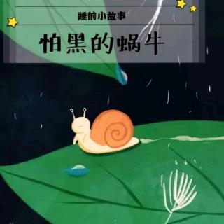 【睡前故事492】飞翔幼儿园老师妈妈❤晚安故事《怕黑的小蜗牛》
