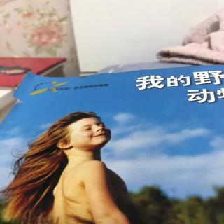 我的野生动物朋友。87-96