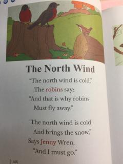 The North Wind