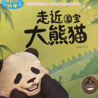 走进国宝大熊猫🐼