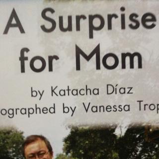 A Surprise for Mom1209