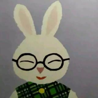 《眼镜兔子🐰》
