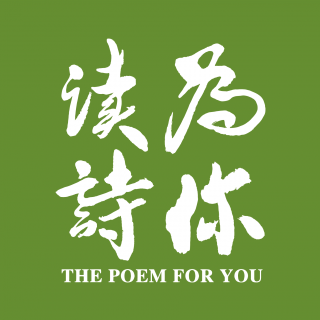陈柏霖「为你读诗」：《森林的夜与静》