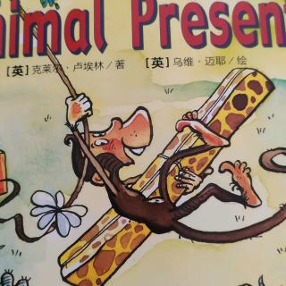 Animal Presents 动物的礼物 第59