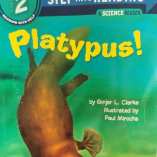 platpus 1—2