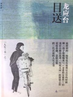 龙应台~莲花