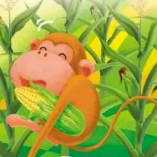 【旺旺电台】小猴子掰玉米