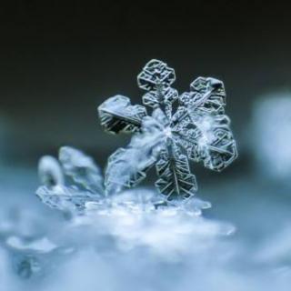 雪花的快乐 - 十里春风😄