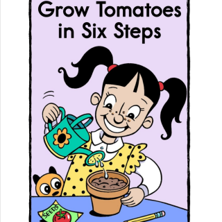 Grow Tomatoes in Six Steps