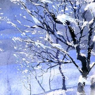 《冬，月也是冷的》作者扎西次仁降秋