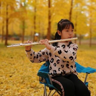 长笛《美丽的神话》—第一次练习