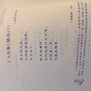 2.飞鸟集精选（1）（三年级）