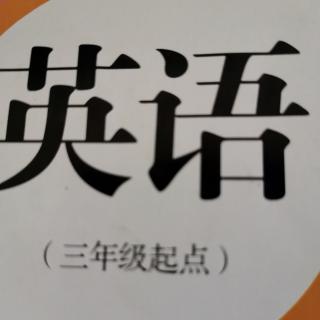 英语复习