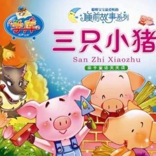 童话故事——《三只小猪》(中二班李老师)（来自FM129473527)