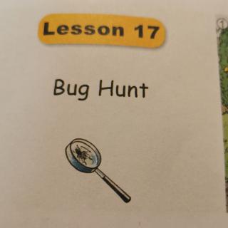 L17 Bug Hunt