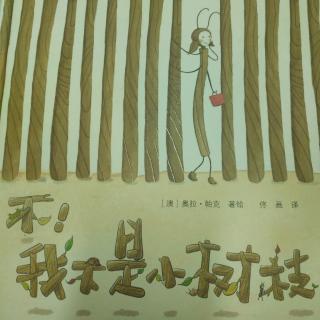 No264《不，我不是小树枝》