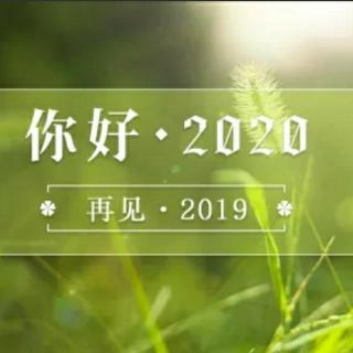 《再见了，我的2019》