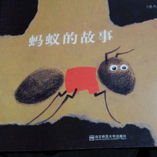 蚂蚁的故事
