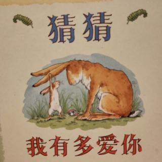 腾龙幼儿园泡泡龙百日悦读会《猜猜我有多爱你》