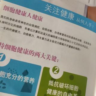 关注健康-1,给细胞充分的营养