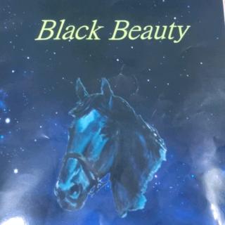 Black Beauty Chapter4