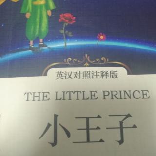 THE   LITTLE    PRINCE