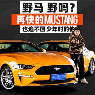 野马 野吗？再快的Mustang也追不回少年时的他！ | 韩贩