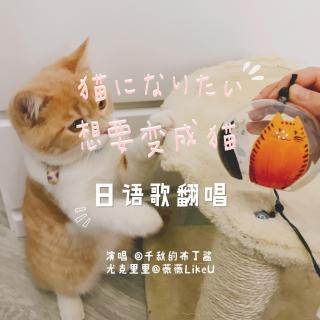 日语歌翻唱｜「猫になりたい」想要变成猫，在你的臂弯里。