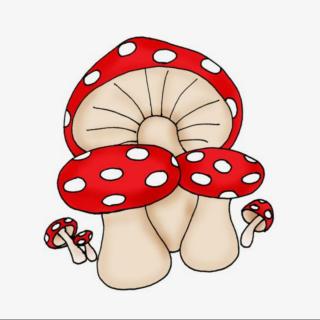 丁丁幼儿园故事分享―《最最好看的小蘑菇》
