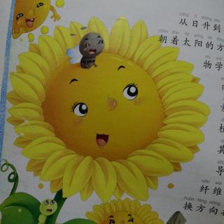 为什么向日葵🌻总跟着太阳☀️转