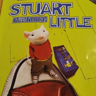 Stuart Little3