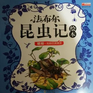 昆虫记狼蛛的外形图片