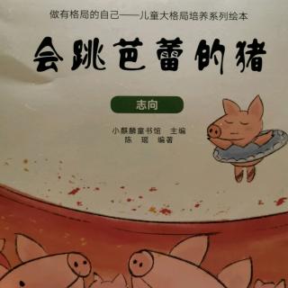 会跳芭蕾的猪🐷