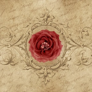 What Is Love 爱是什么 - 宫宝宝