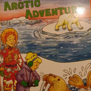 Arctic adventures D2