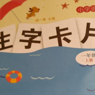 生字卡片