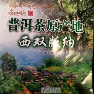 《普洱茶原产地—西双版纳》_【景迈古茶山】