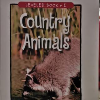 Country animals