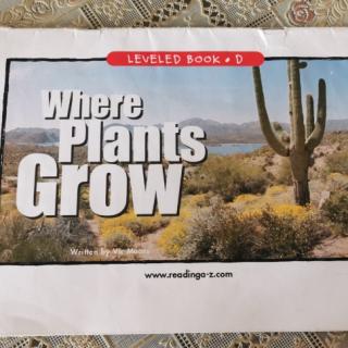 Where plants grow