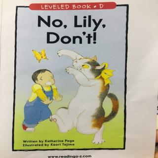 No，Lily don't