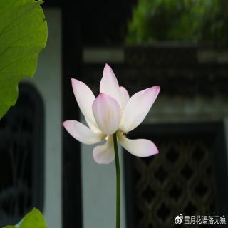 #荔枝领读者# 愿你心灵充实，无所畏惧  -钟汉良·HON墨诗书时间