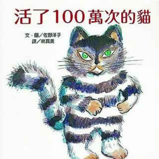 故事743-薇薇老师-活了100万次的猫