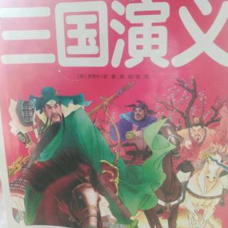 三国演义巜连环记》