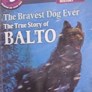 The Bravest Dog Ever The True Story of Balto