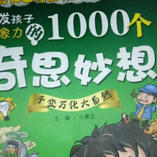 课外阅读《1000个奇思妙想》