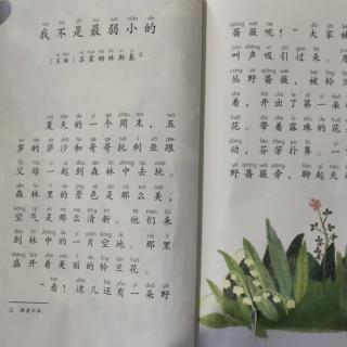我不是最弱小的